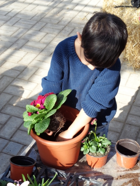 Wir pflanzen Blumen