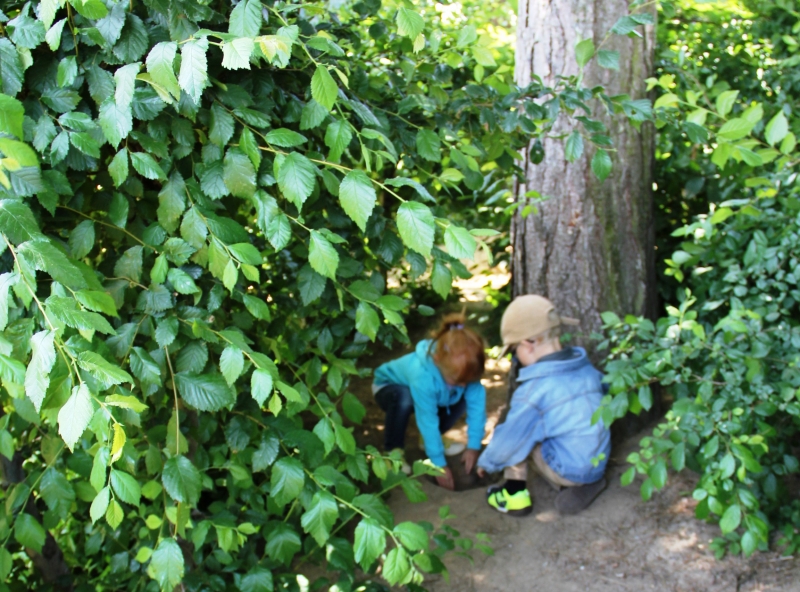 Draußen in der Natur