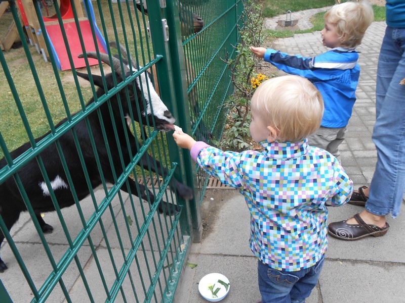 Unser Tiergehege