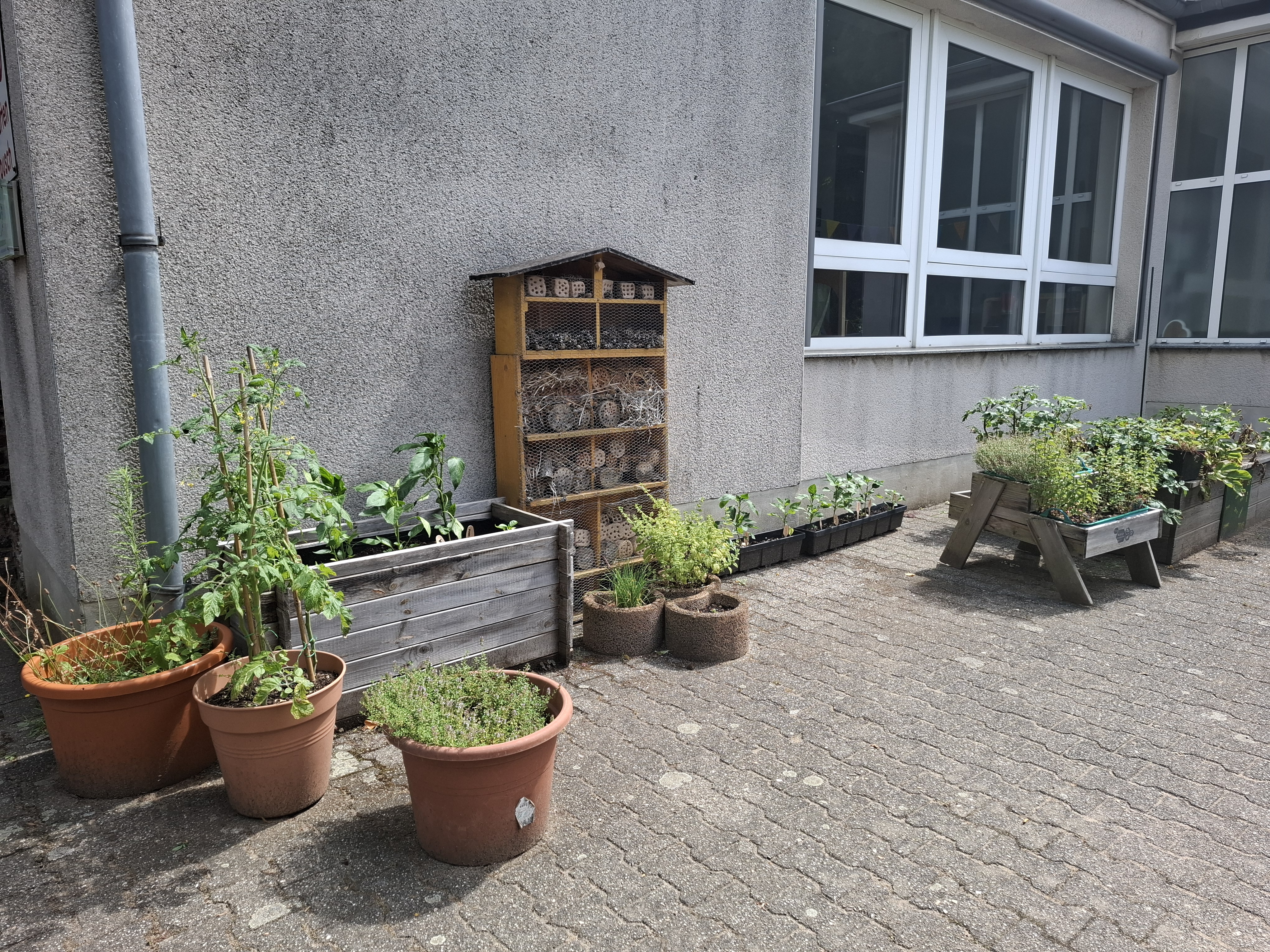 Garten-AG-Ecke